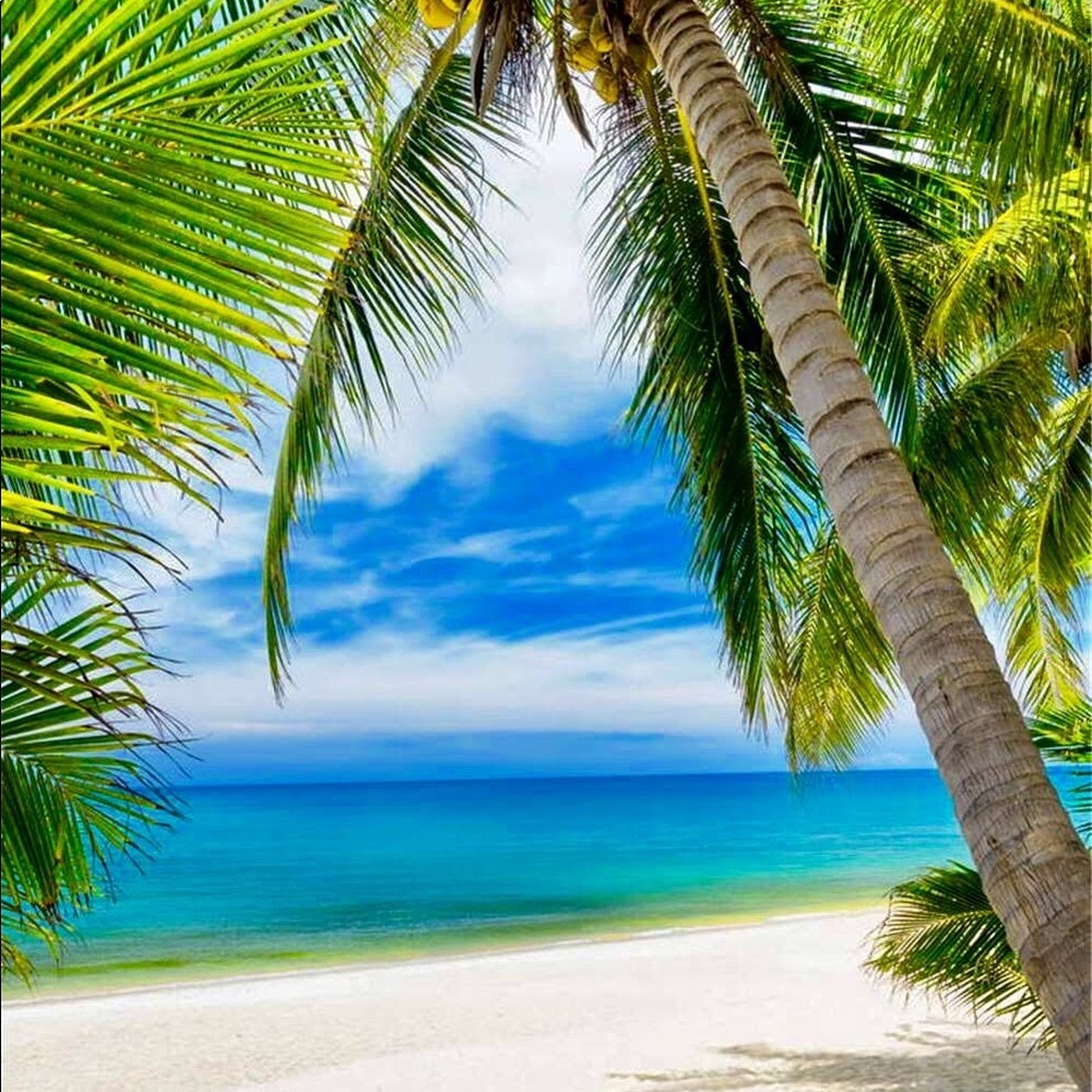 🌴🌞PoshAmbassador!🌞🌴 - Picture 6 of 7